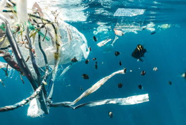 Océan : les enjeux d’un sommet plus politique qu’écologique