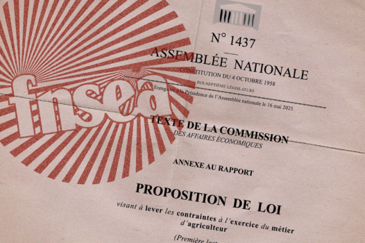 Loi Duplomb : ces députés bons petits soldats de la FNSEA
